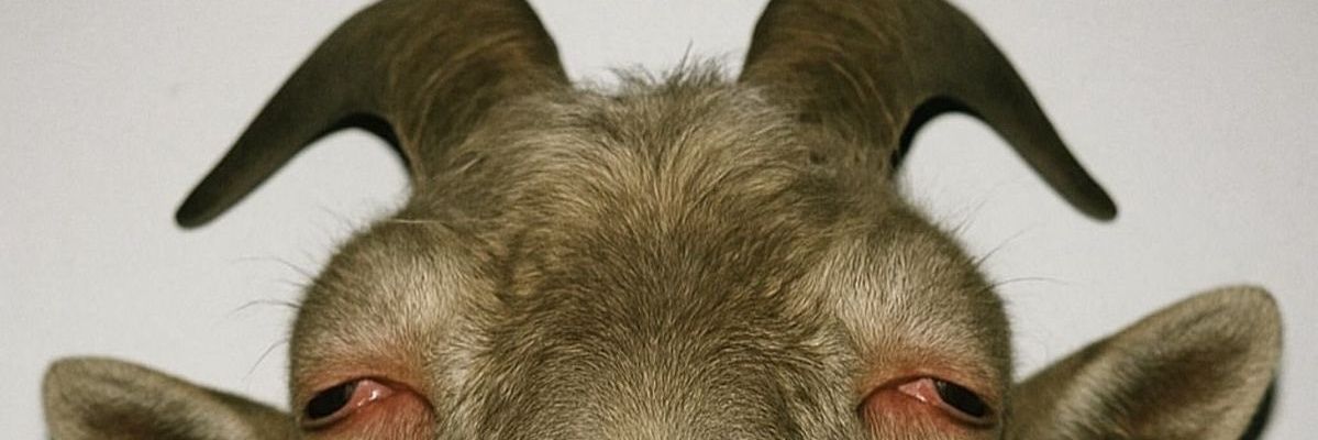 ℛ𝒾𝒸𝓀𝓎 banner