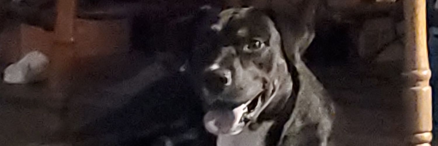 Cody_Redbeard's profile banner image