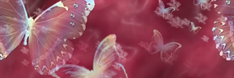 notnotlaur's profile banner image