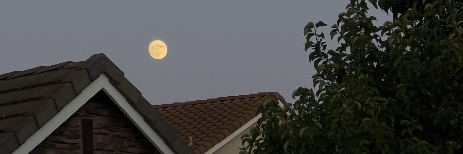 heleen banner