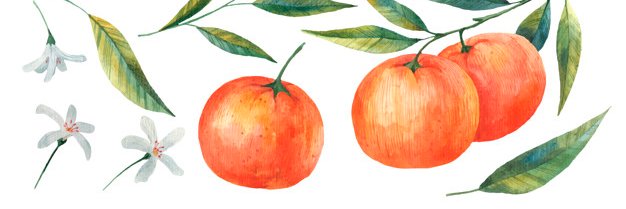 Kristin Princiotta banner