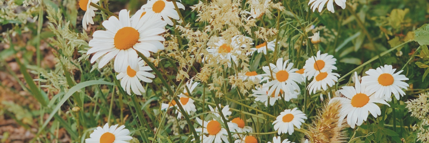 YeahitsmeK's profile banner image