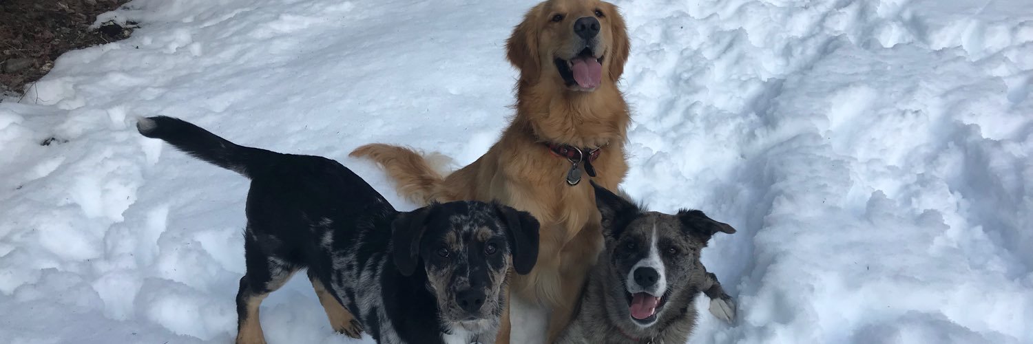 katherinegray_'s profile banner image
