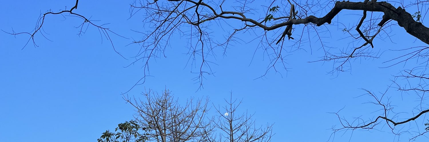 sunfloweration's profile banner image