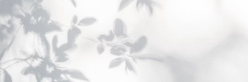 Moonpicks2's profile banner image