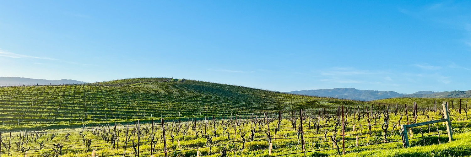 Diogo Vasconcelos banner