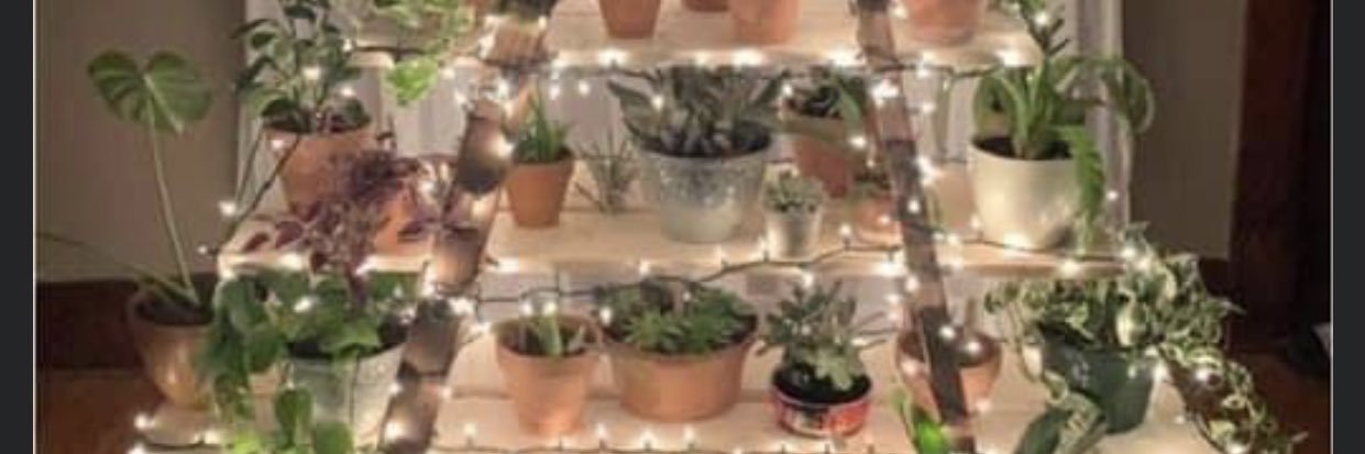 Jenilin Faust banner