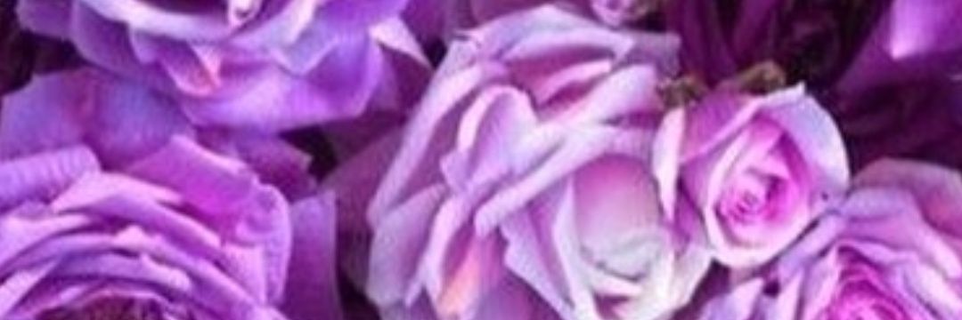 Portablecharg3r's profile banner image
