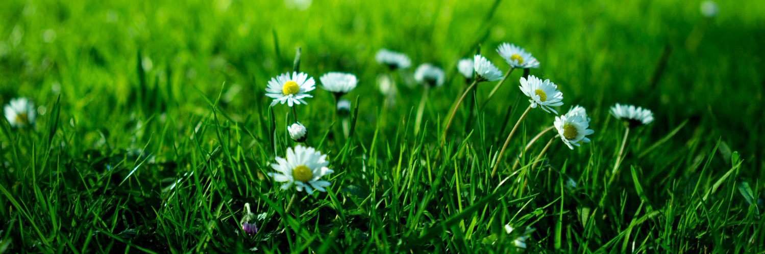 skep is done with fandoms banner