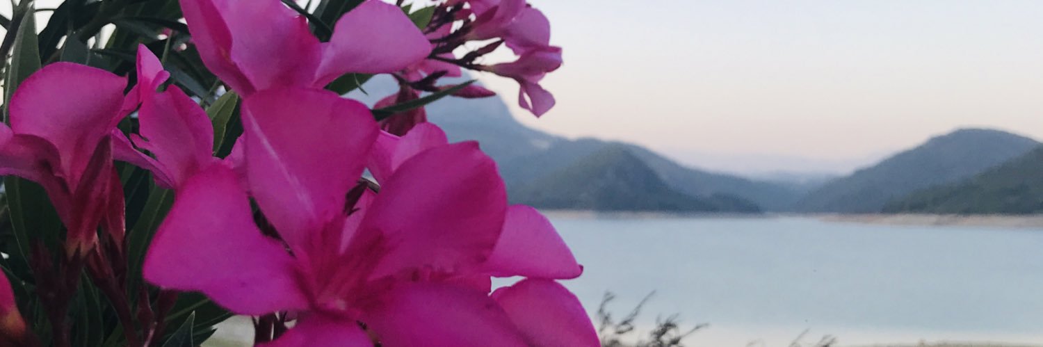 hatun_kaplan's profile banner image