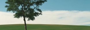 o_navarrete's profile banner image
