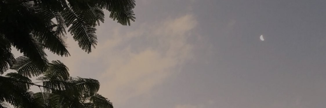 ✨ banner