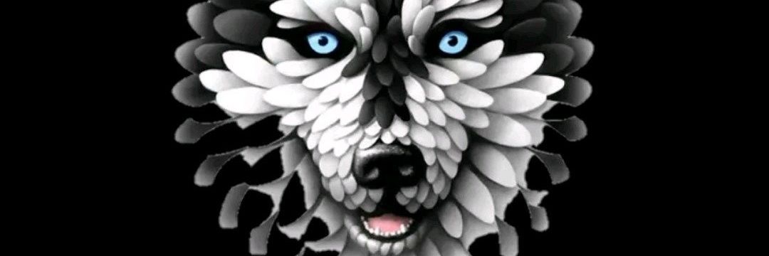Jenana45's profile banner image