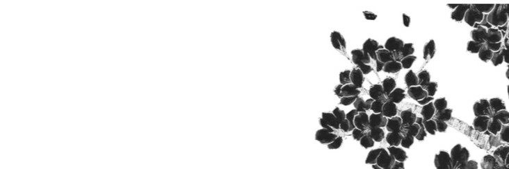 Kacey 🍉 banner