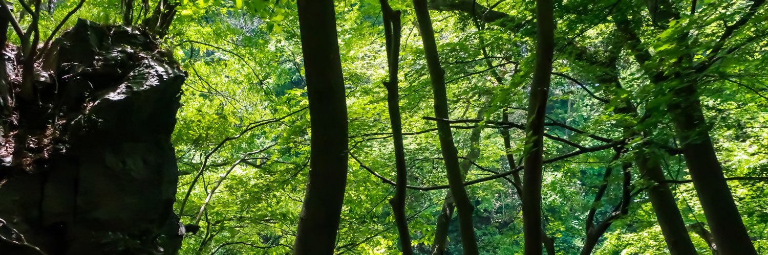 デルマログ banner