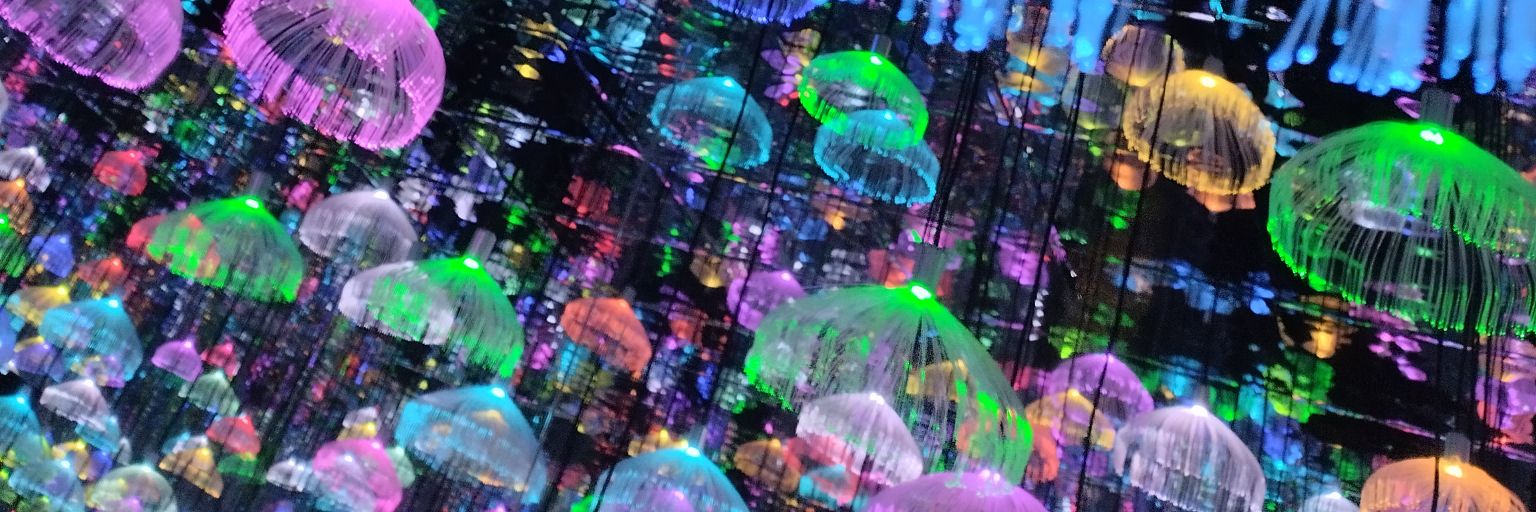 𓅷𓅿𓃗 banner