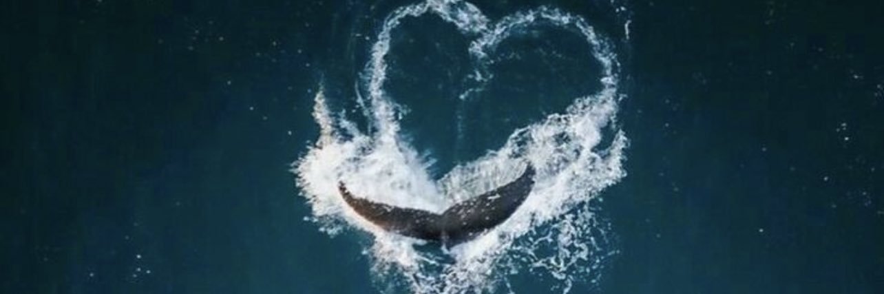 z37506871's profile banner image