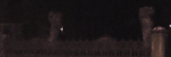 ssevarya Profile Banner