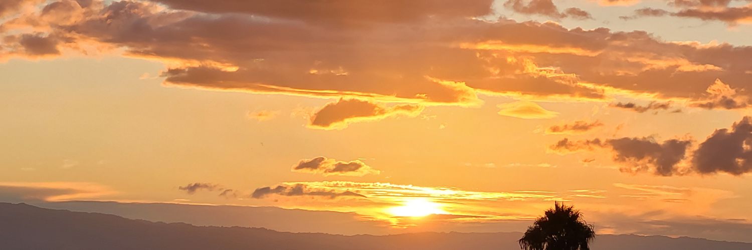 TheLittleKicks2's profile banner image