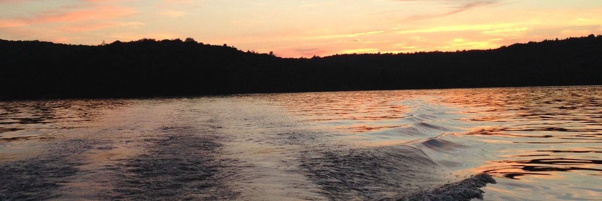 Sean S Larson banner