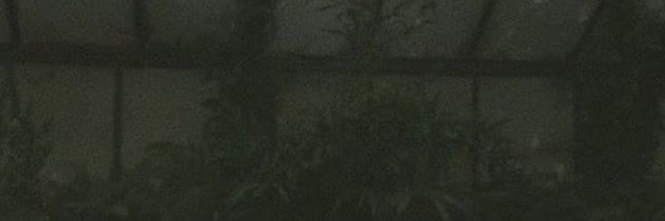 〘 тσву яσgєяѕ 〙 banner