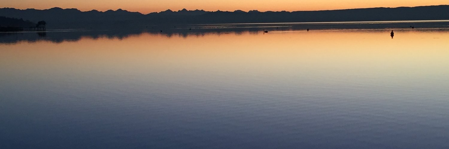NesselerT's profile banner image