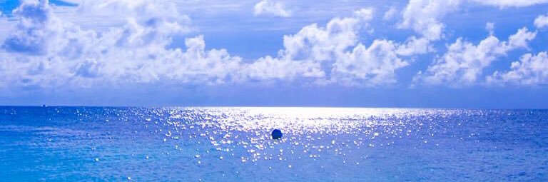evertonrio's profile banner image