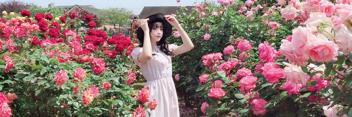 warydata's profile banner image