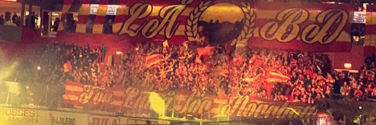 callebehm's profile banner image