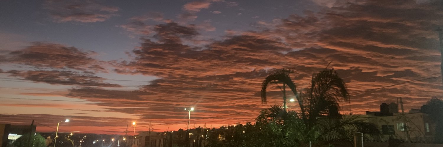 OsaucedoF's profile banner image