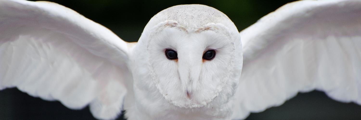 Marielle v.d. Keur banner