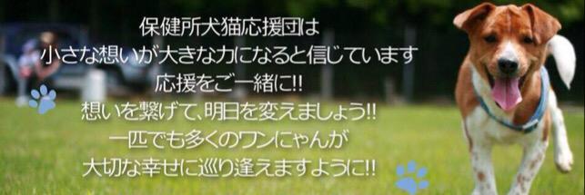 kopuchin's profile banner image