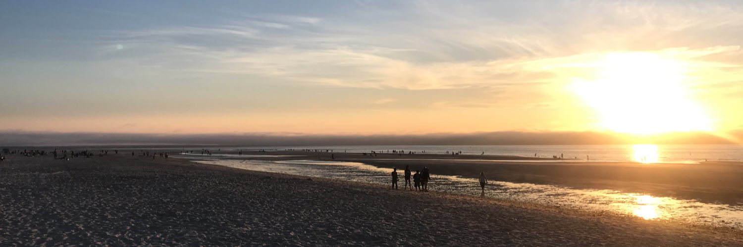 Julie Hamilton banner