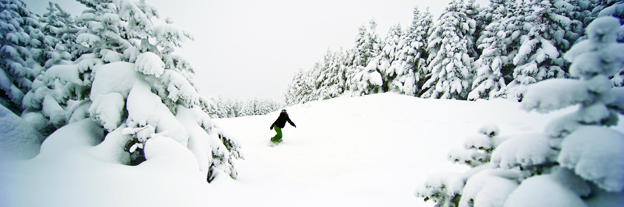 destinationvt's profile banner image