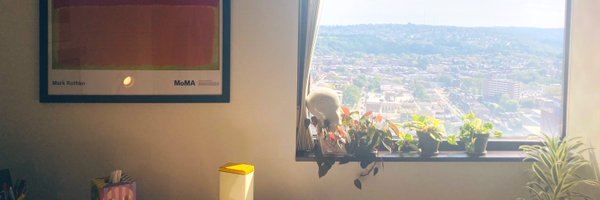 InsanallyM Profile Banner