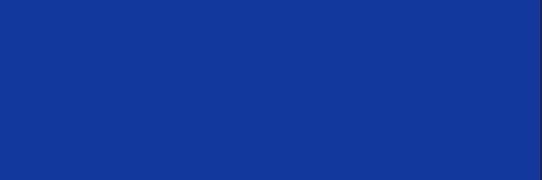 FonsecaFelicity Profile Banner