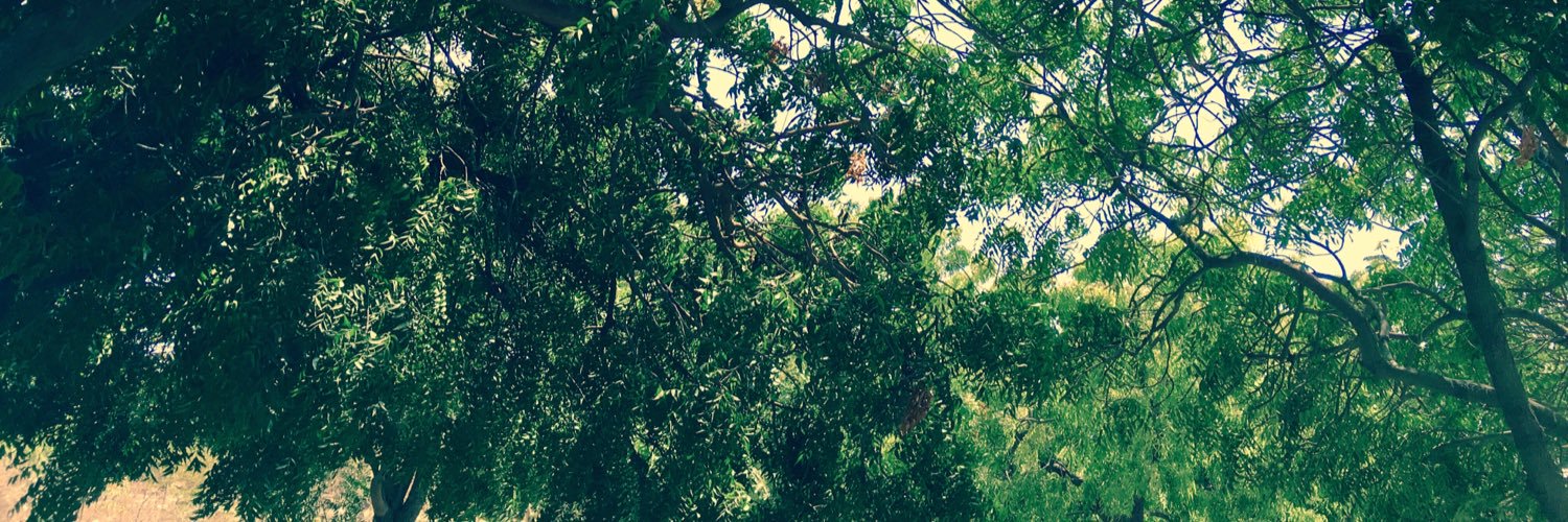 sharmaraghavi's profile banner image
