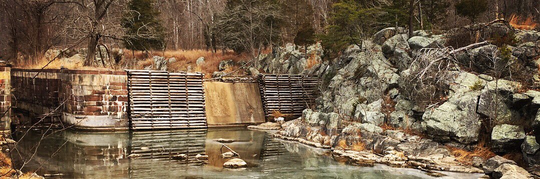 Andrew Friedson banner