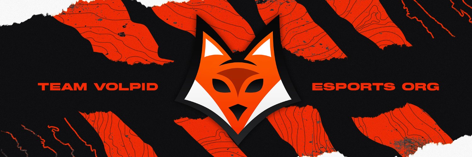 TeamVolpid's profile banner image