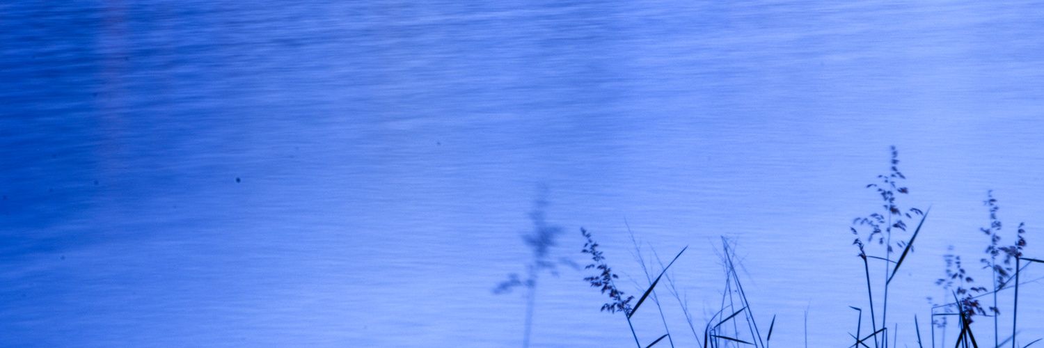 Kurine banner