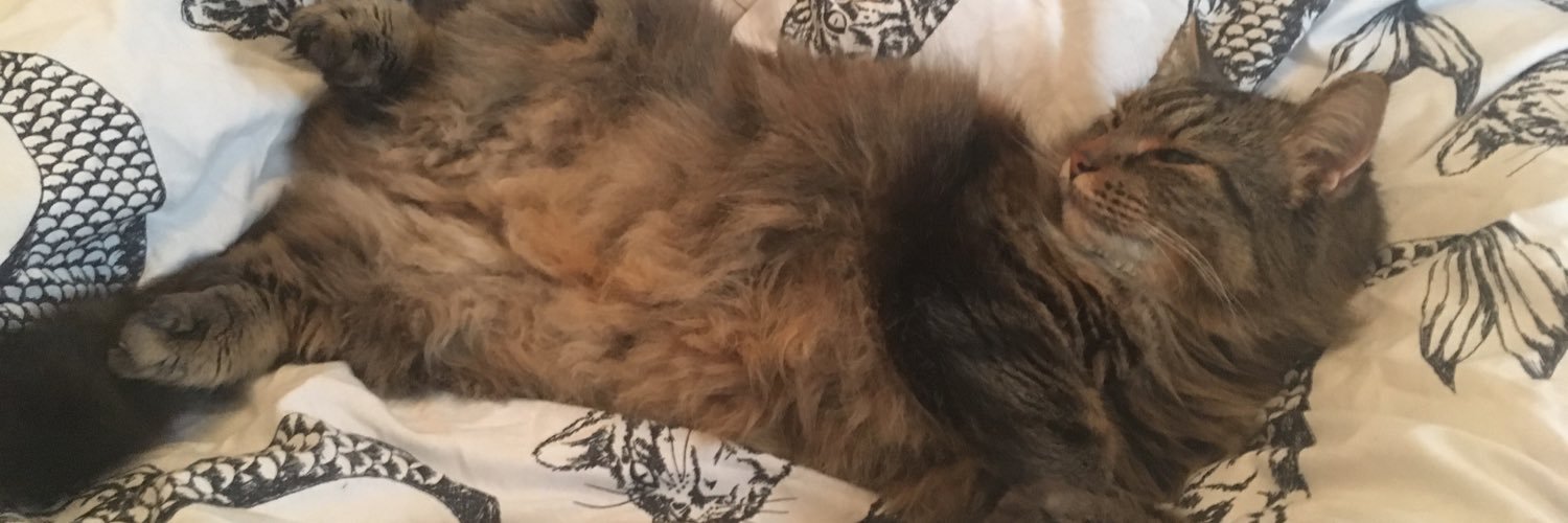 TinyHeppe's profile banner image