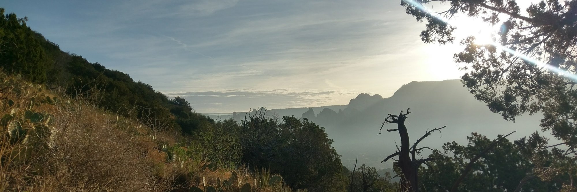 willbreitkreutz's profile banner image