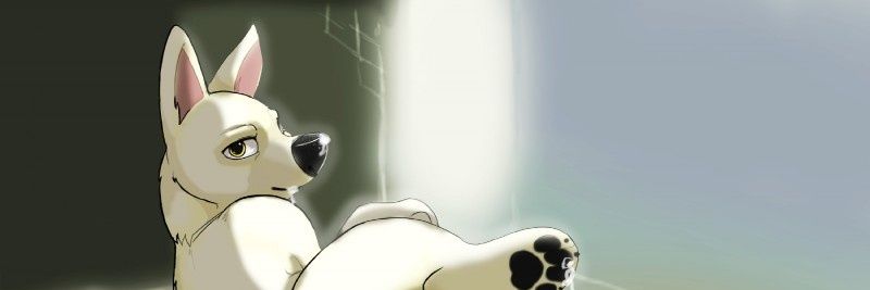 Bolt45910865's profile banner image