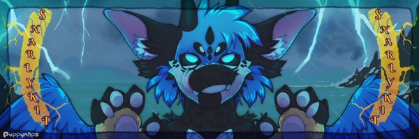 snarlykit Profile Banner