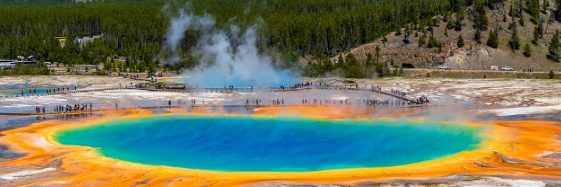 You Can't Be Serious banner