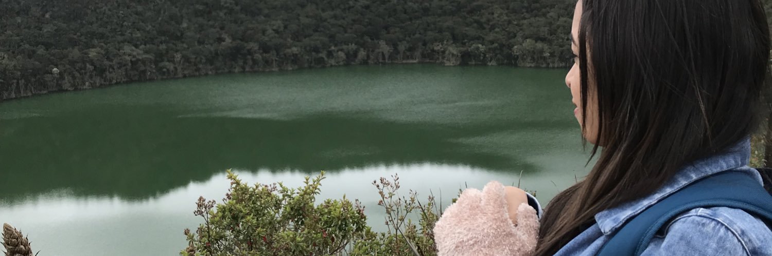 Cateortega's profile banner image