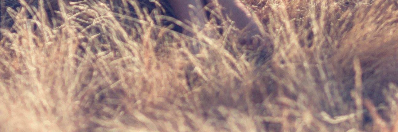 Parkourleecii banner