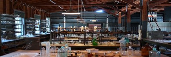 happinet_lab Profile Banner