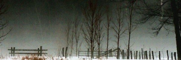 suaphernelia Profile Banner