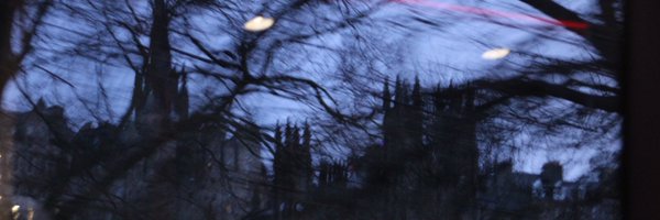 faunshii Profile Banner